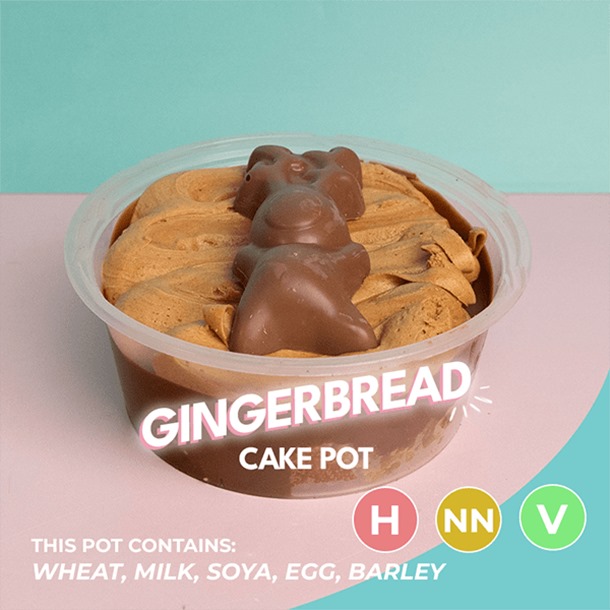 Gingerbread Cake Pot